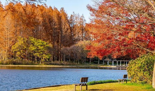 上海市金山区十大著名旅游景点