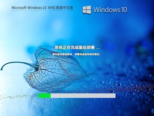 2023年最新微软Win10桌面壁纸高清图