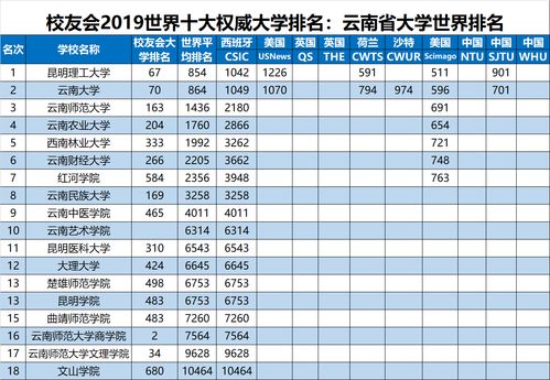 中国十大国际高中学校排名