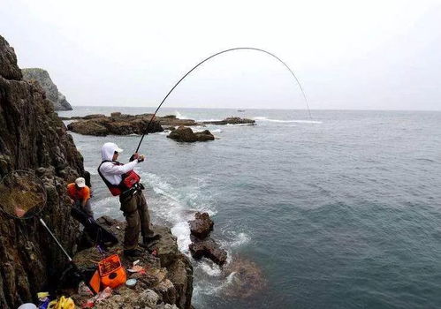 中国十大海钓圣地